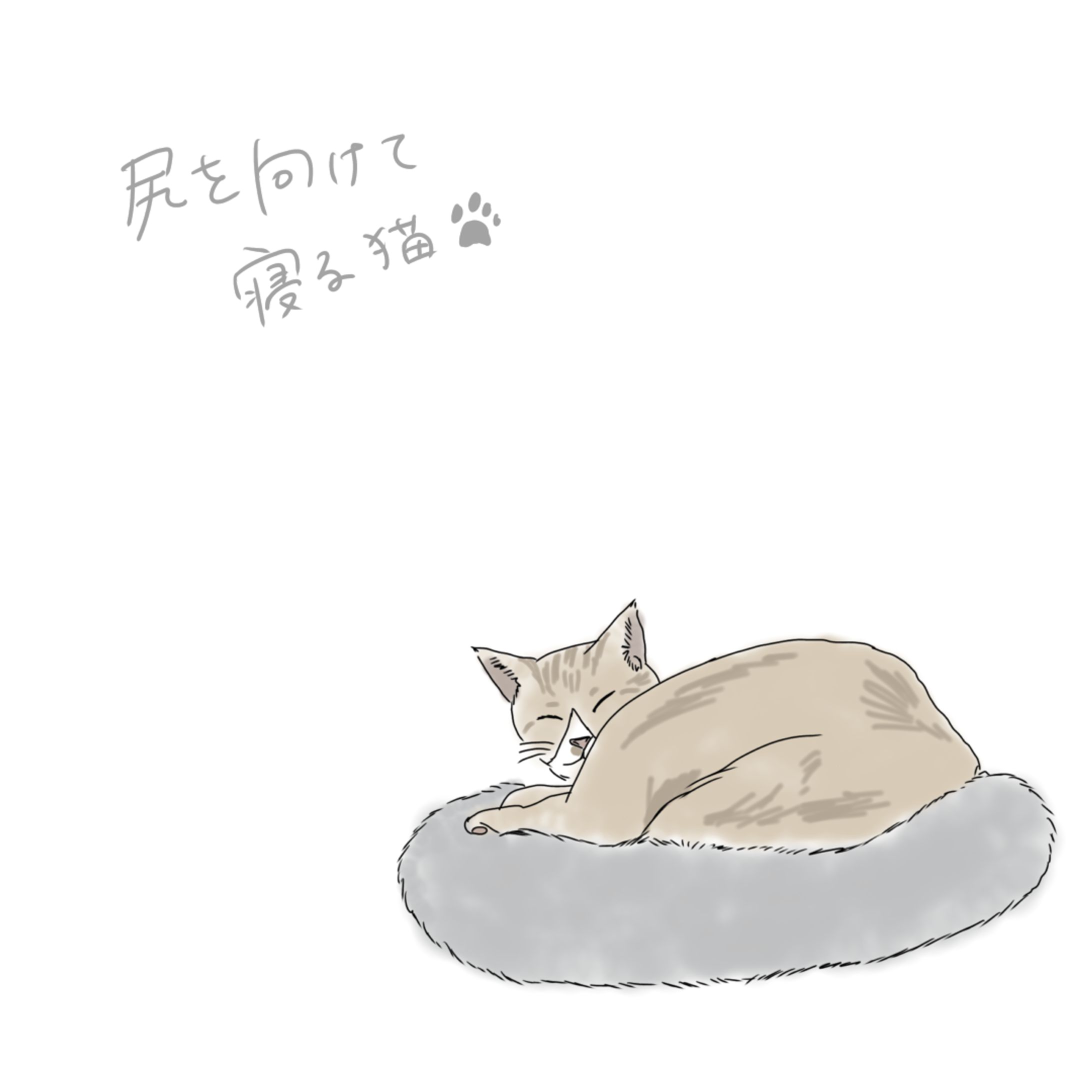 飼い猫のイラストを制作しました。-1