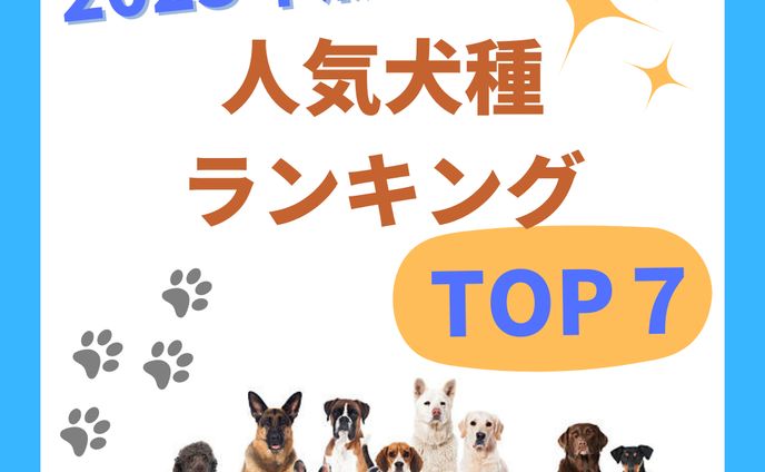 Instagramのフィード投稿制作