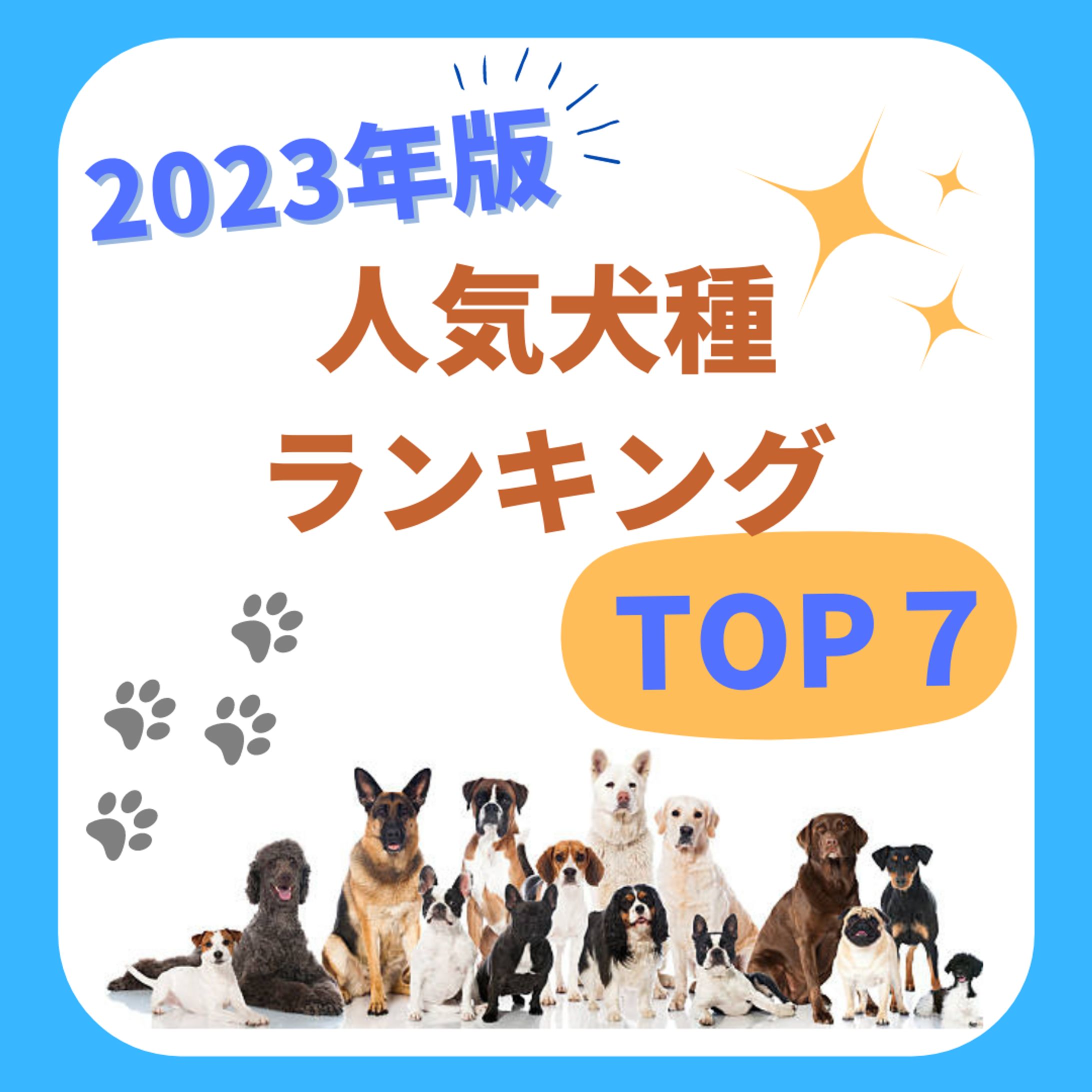 Instagramのフィード投稿制作-1