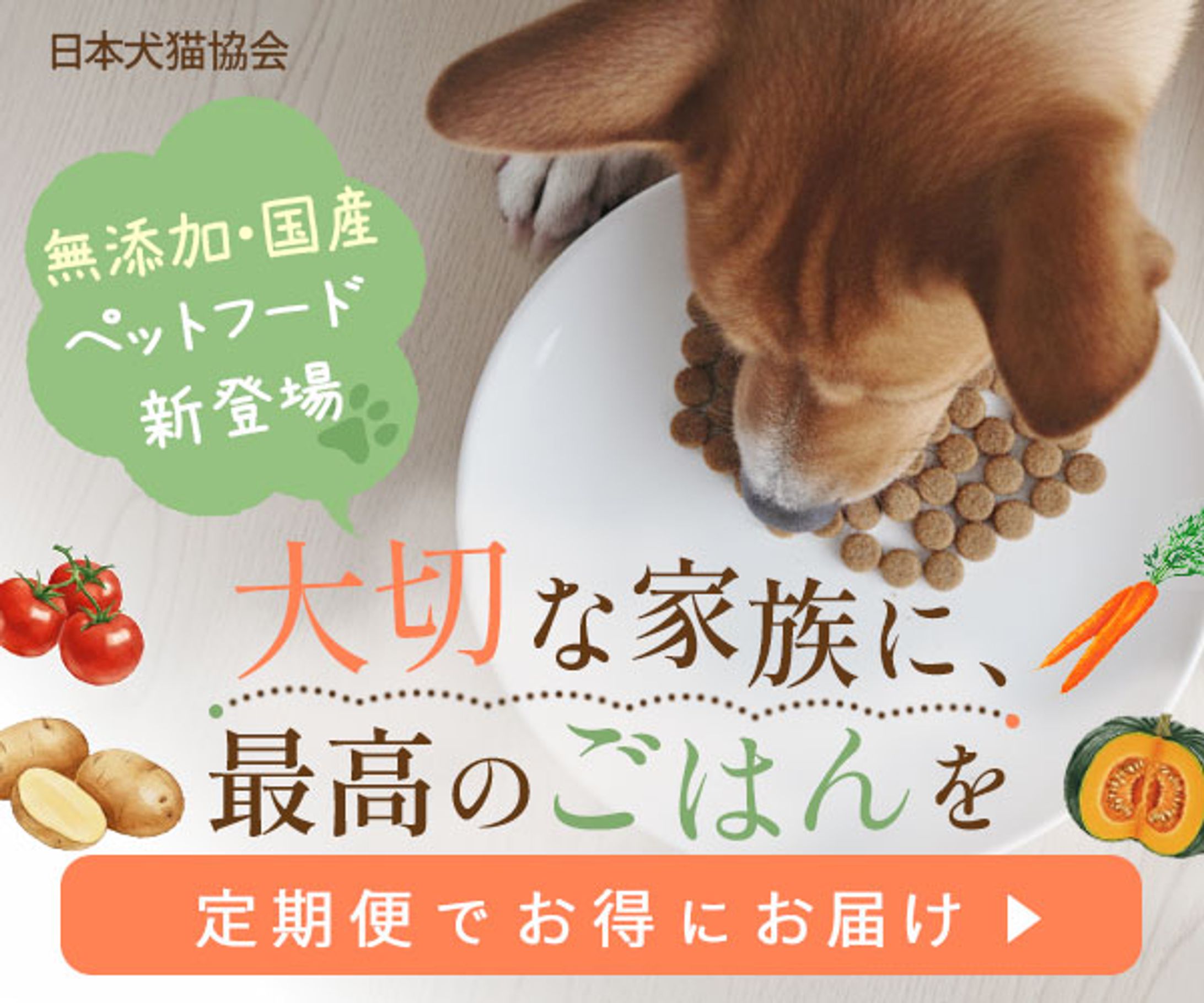 バナー：ドッグフードの広告バナー（架空）-1