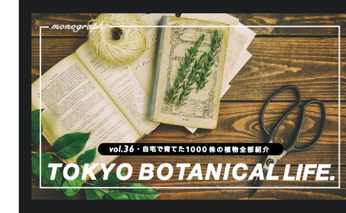 サムネ制作、コピー