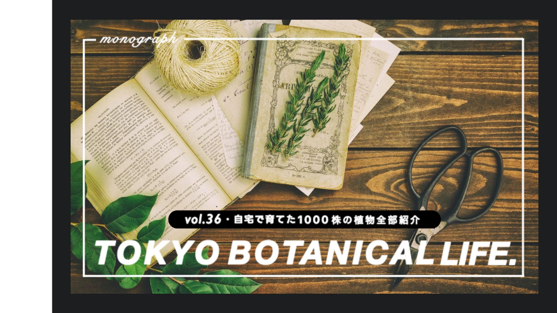 サムネイルコピー-1