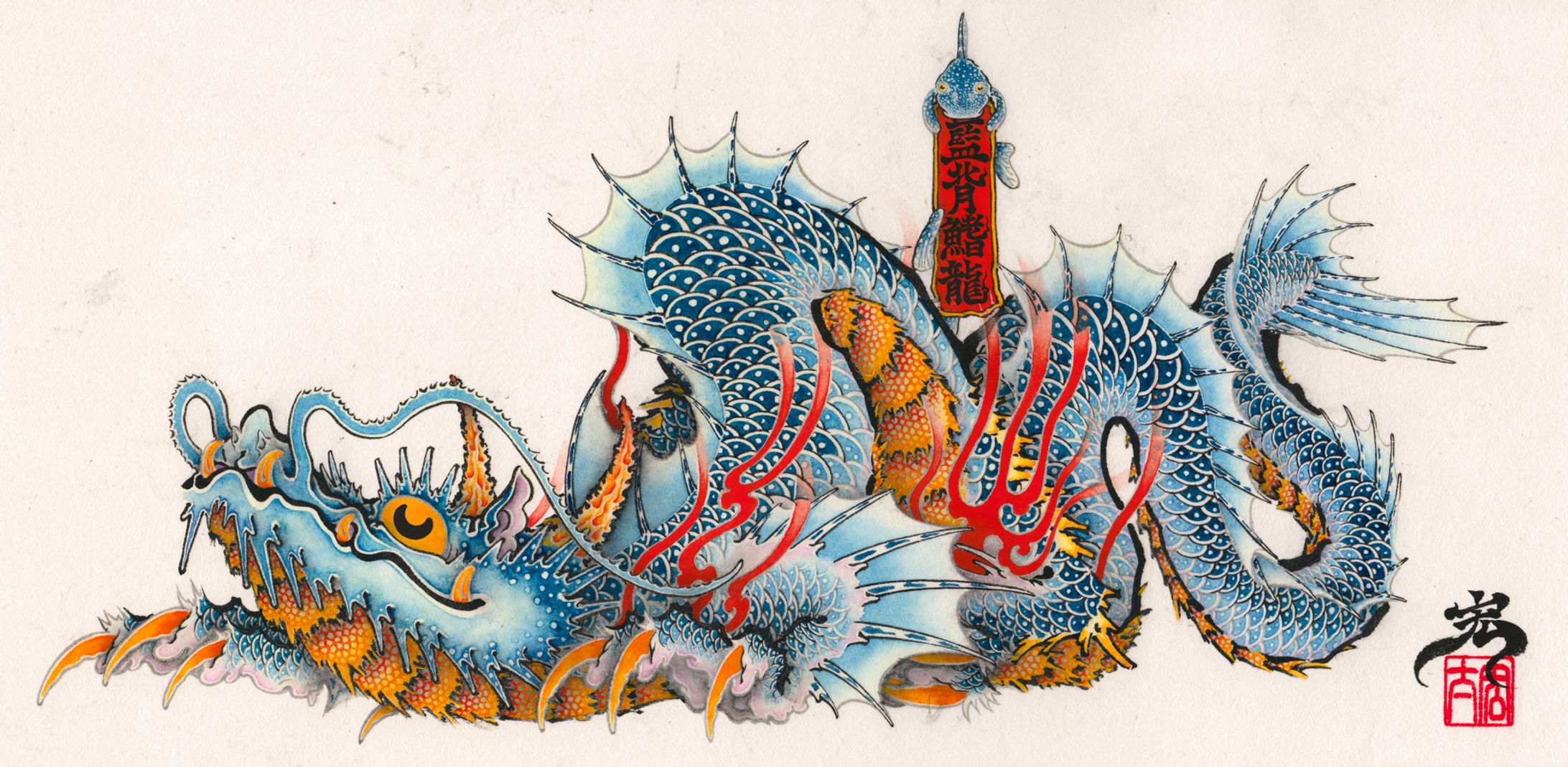 藍背鰭龍-1