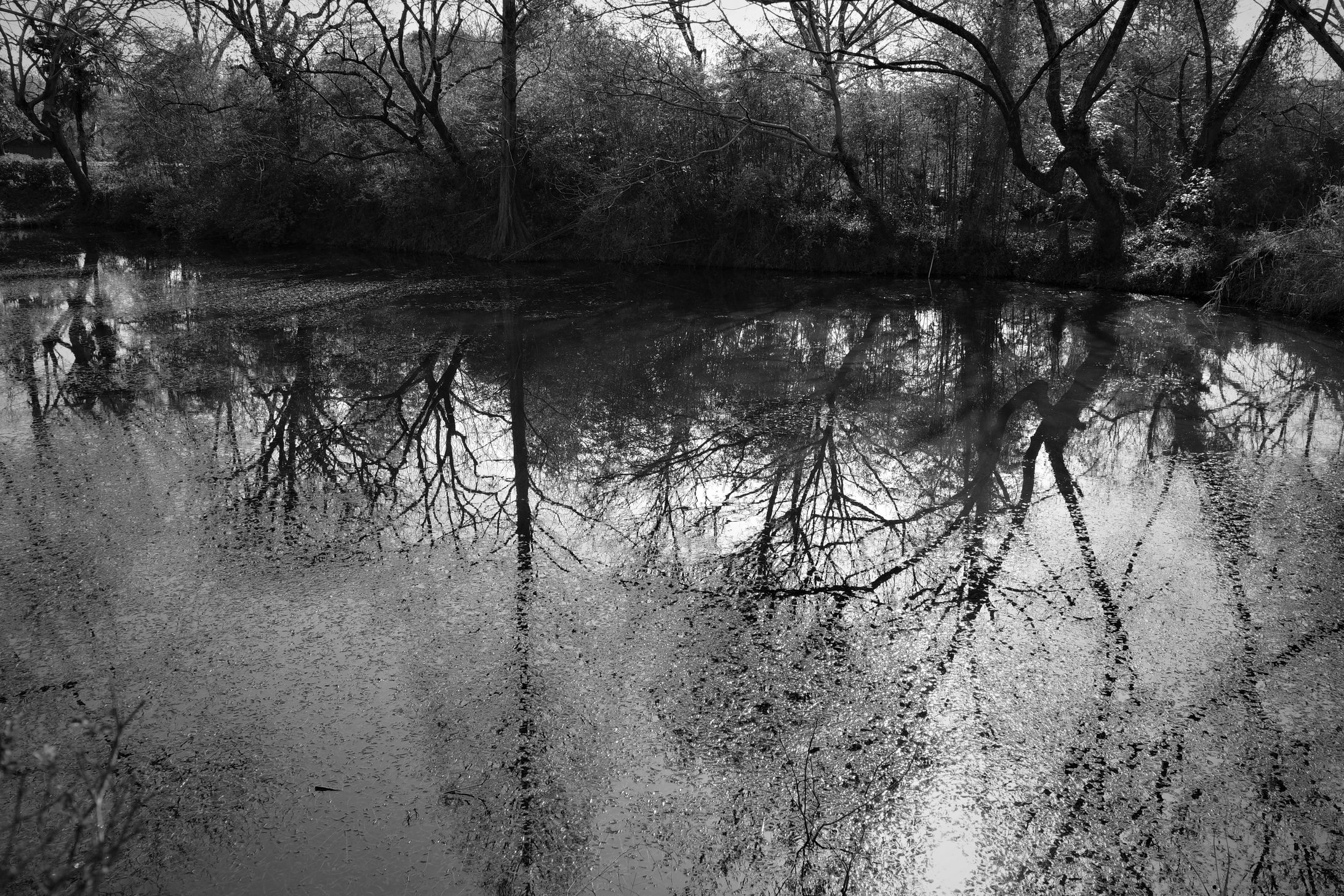 landscape-1