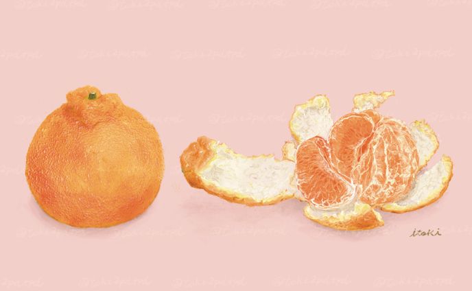 不知火みかん（デコポン）