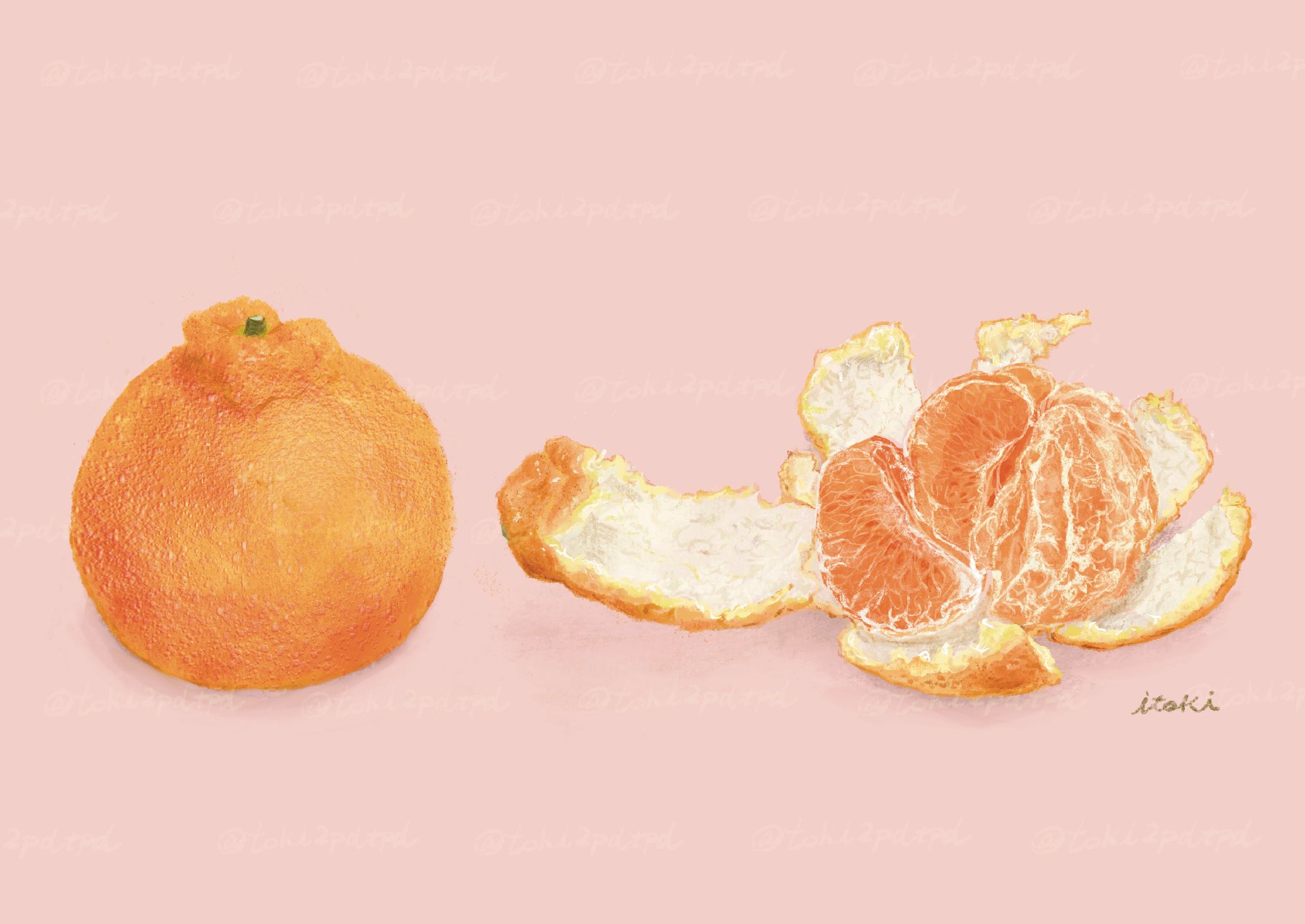 不知火みかん（デコポン）-1