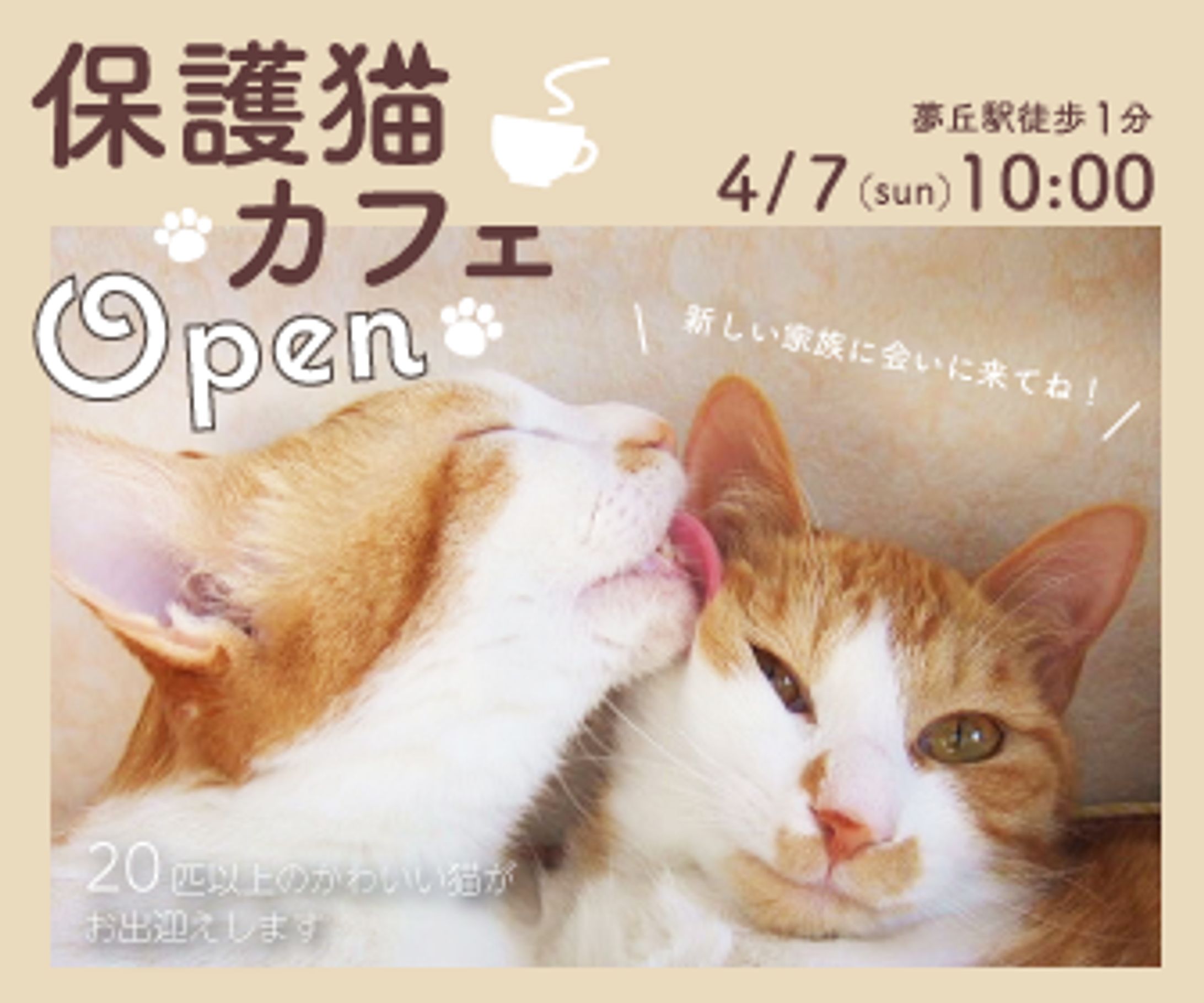 猫カフェバナー-1