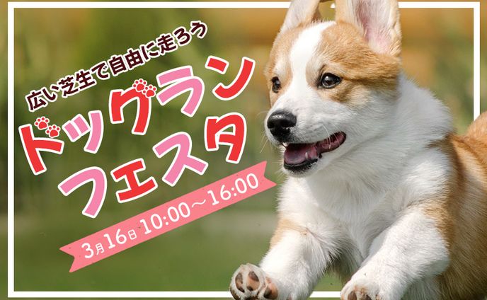 バナー、２色