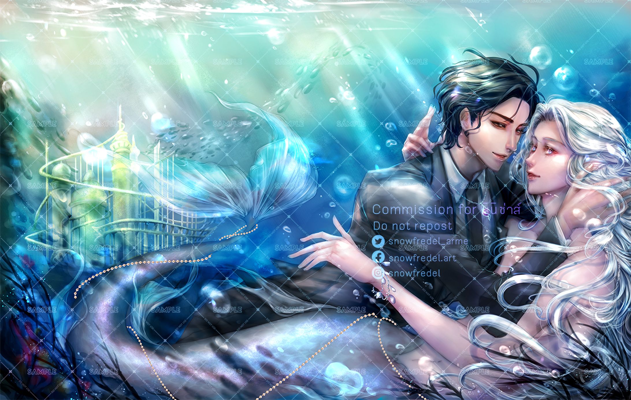 Novel Cover Commission 2021-1