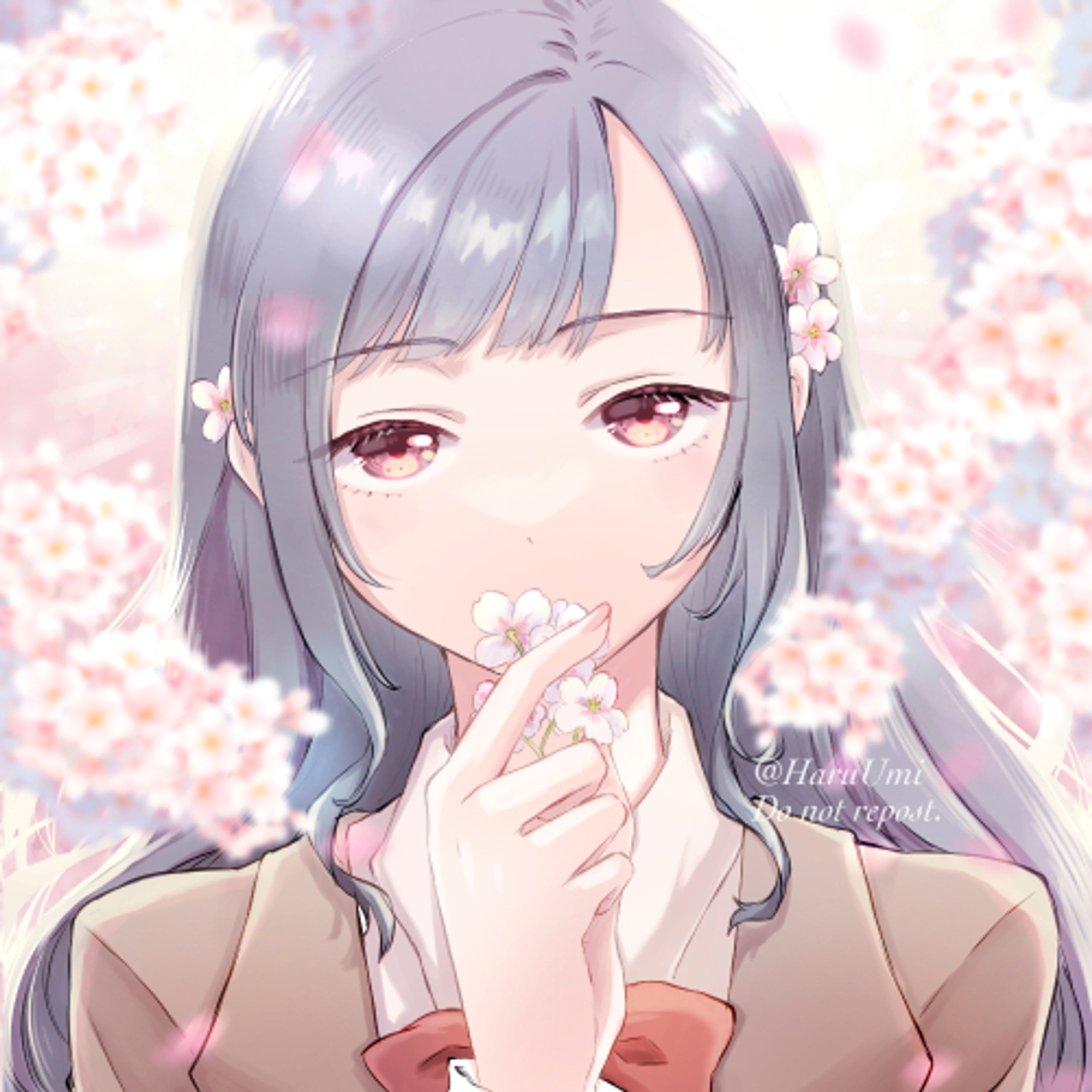 sakura-1