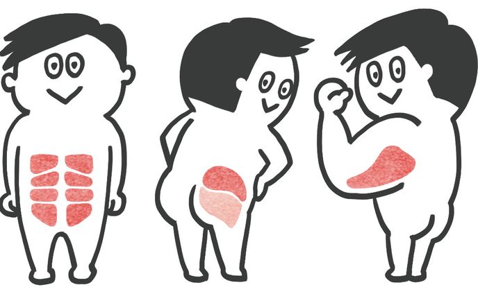 雑誌挿絵・効く部位