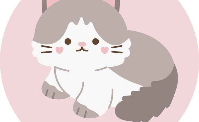 私のポートフォリオ