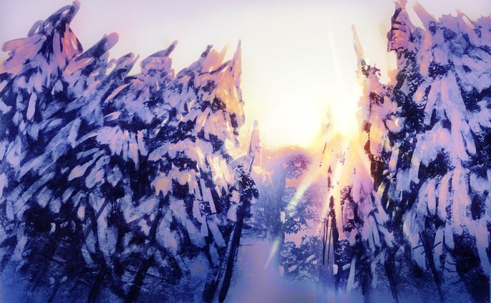 雪の森
