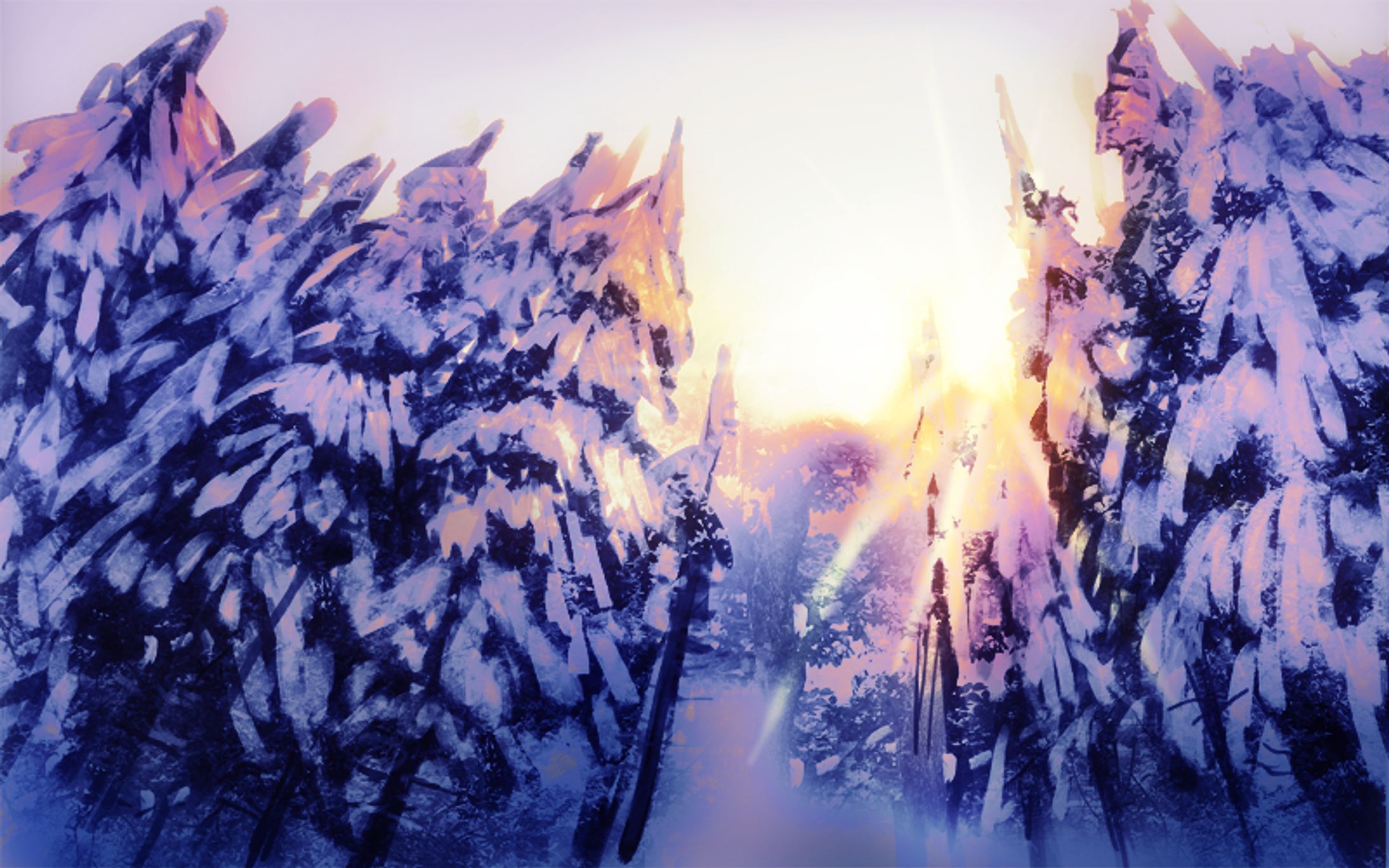 雪の森-1