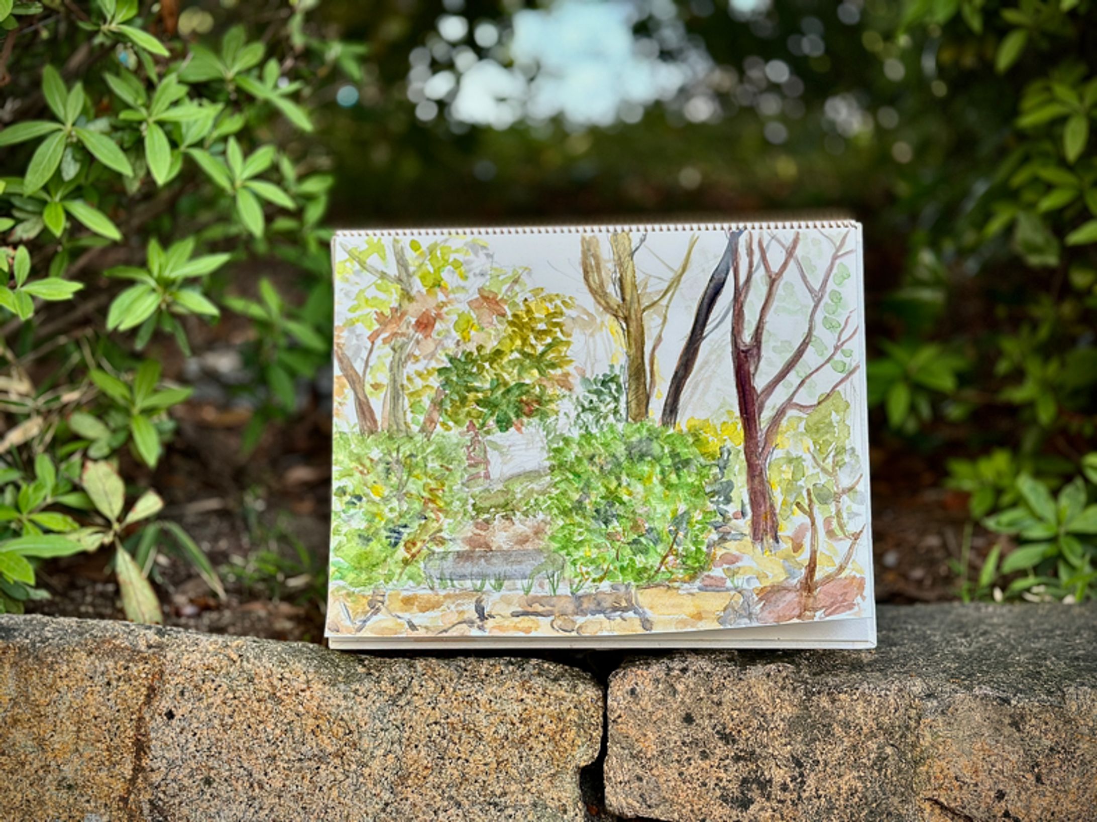 20250419_風景スケッチ🌱-1