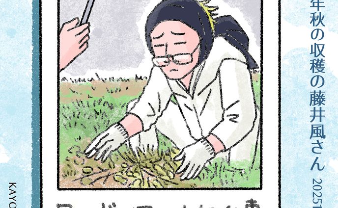 20251031畑仕事風さん