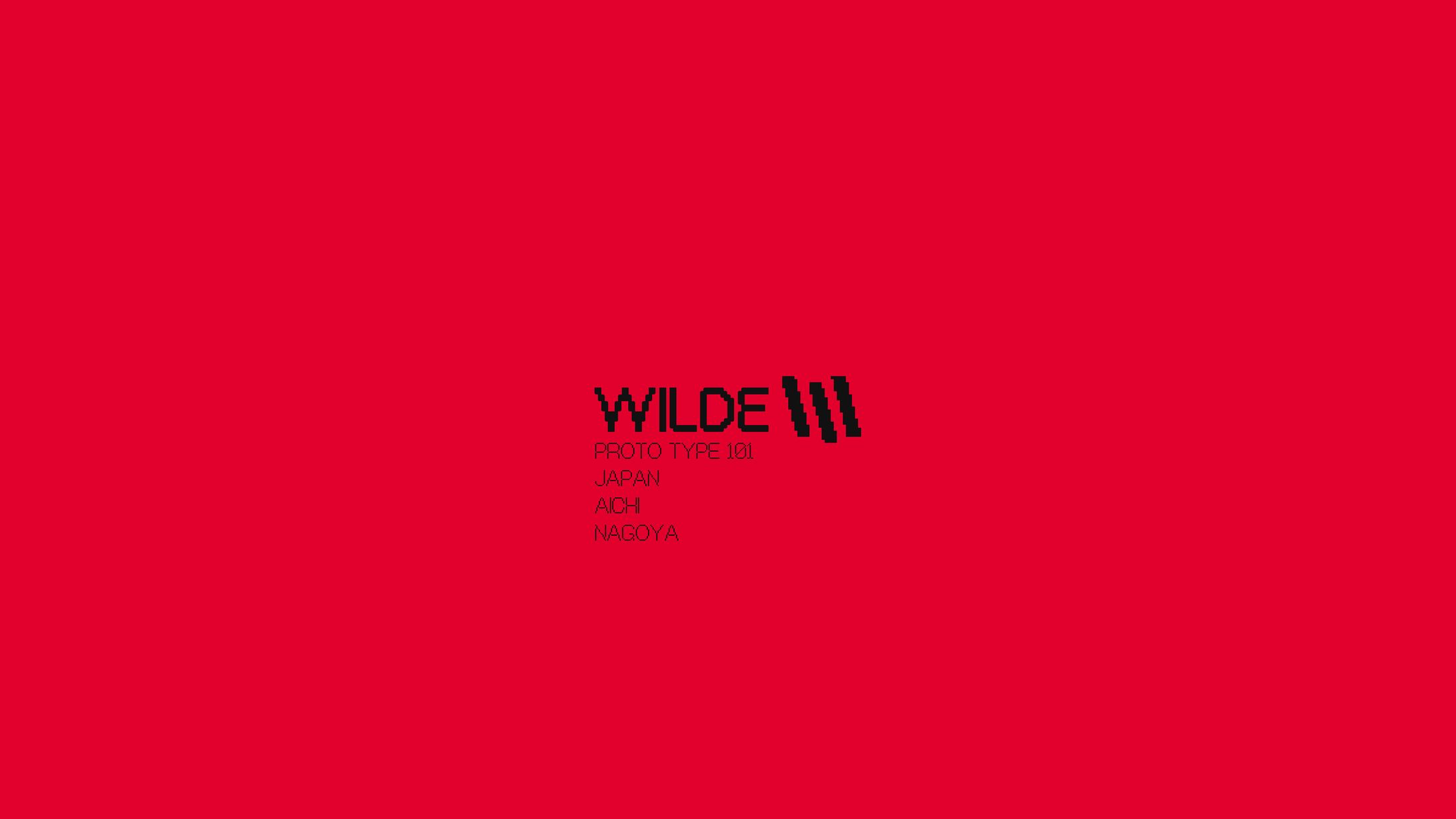 WILDE E-SPORTS Branding-1