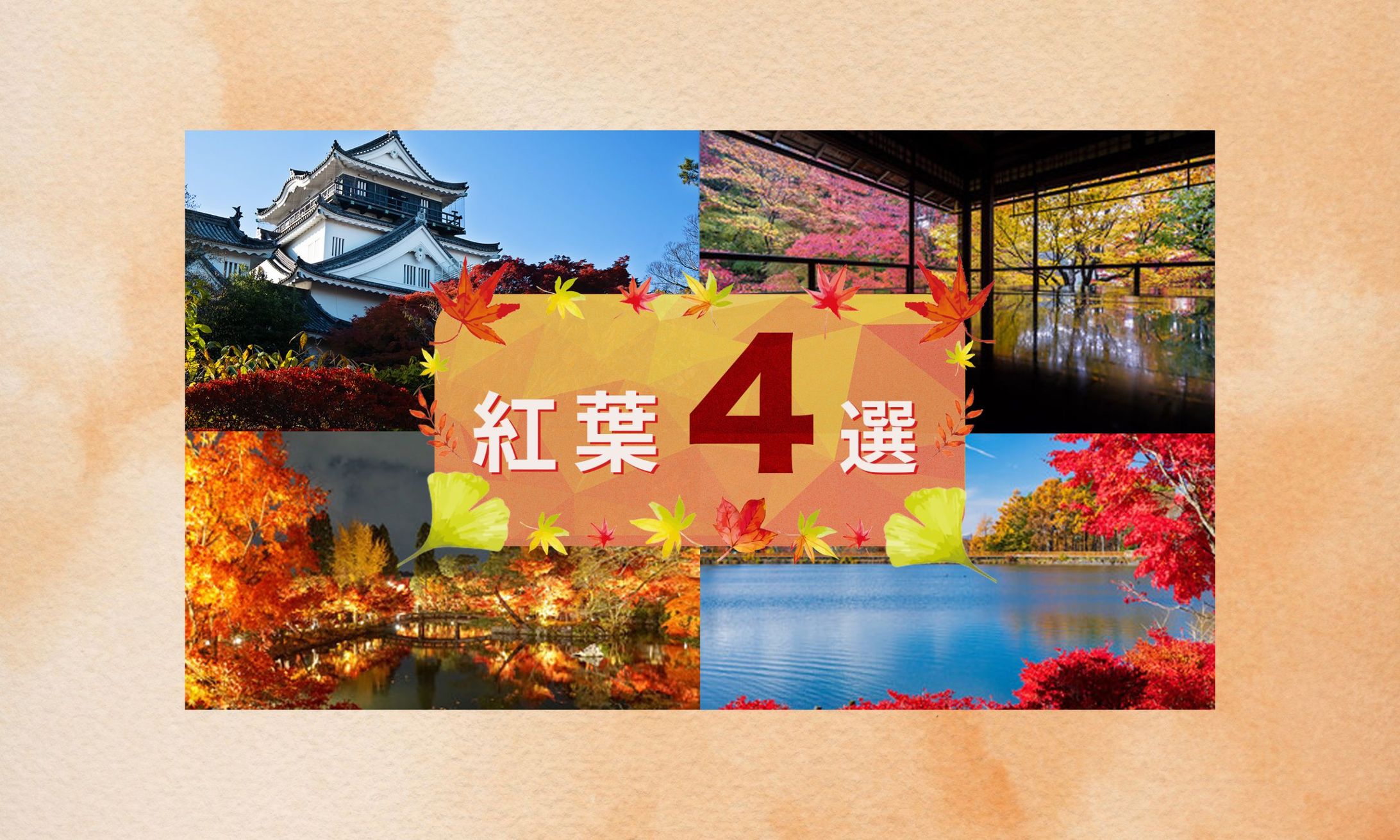 【架空案件】紅葉バナー-1