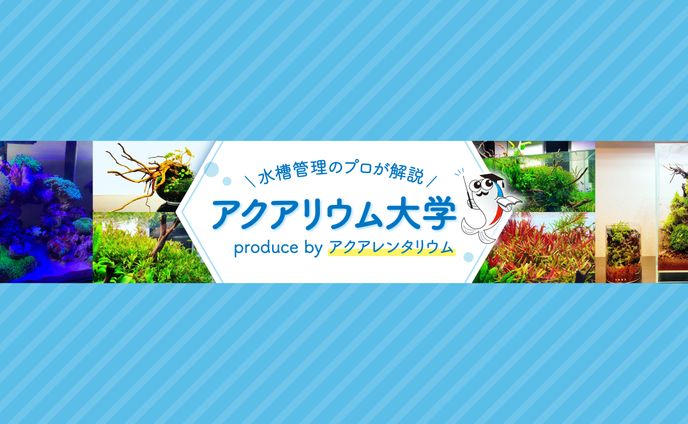YouTube制作サポート/キャラクターデザイン