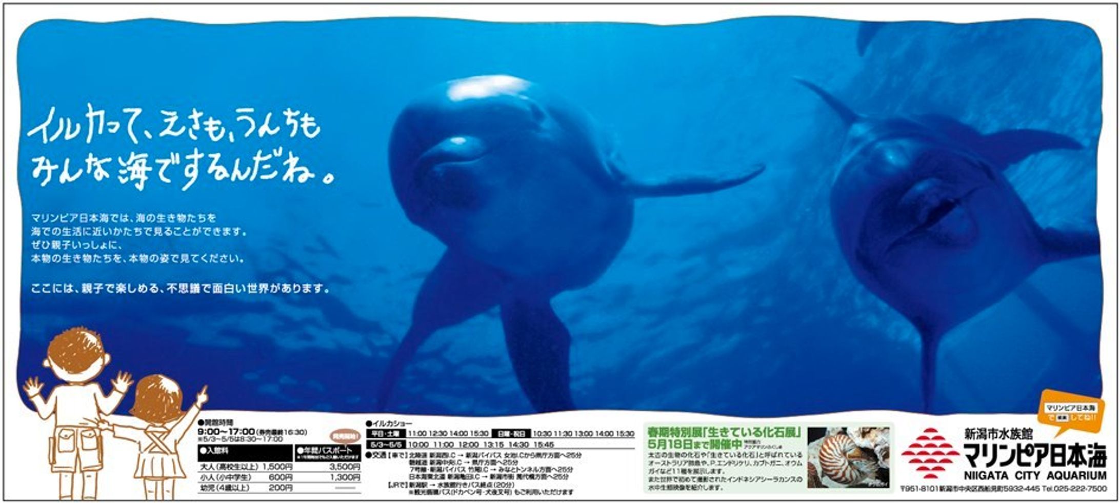 マリンピア日本海・新潟日報全5段広告-1