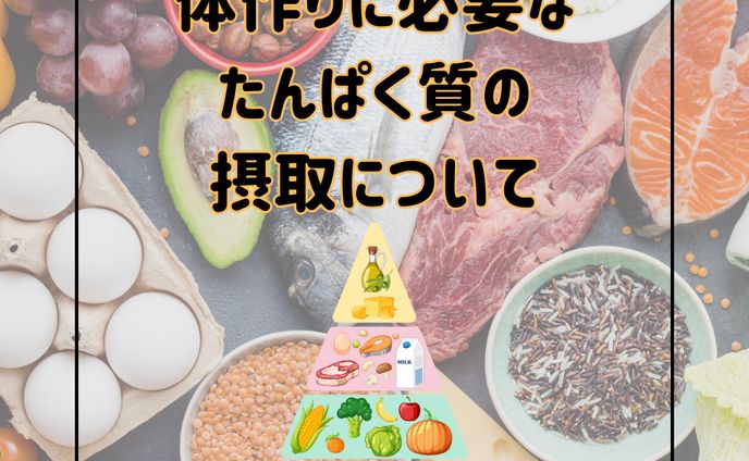 Instagramフィード投稿　栄養素(Canva)