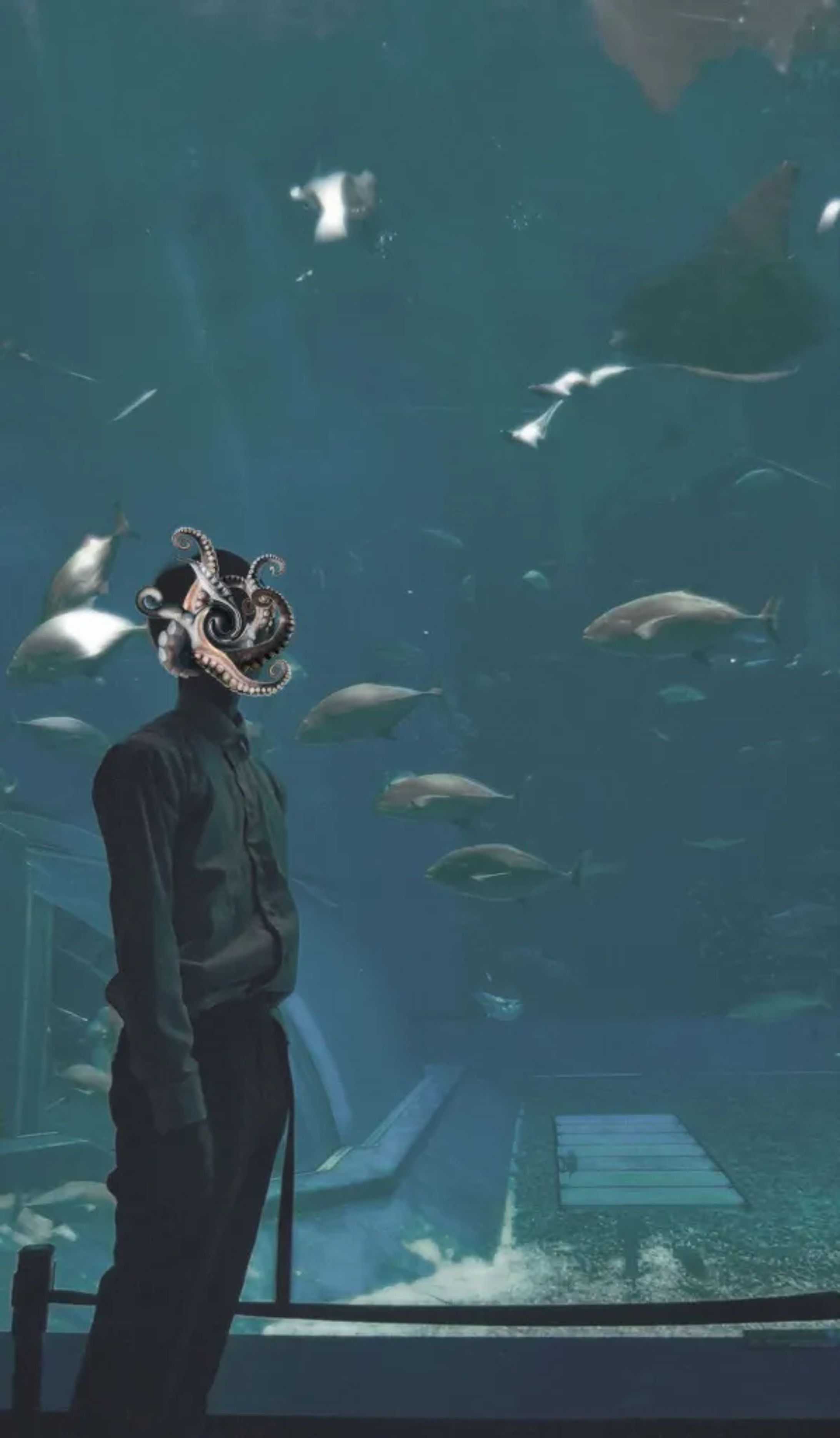 顏のない男 - 触手-1