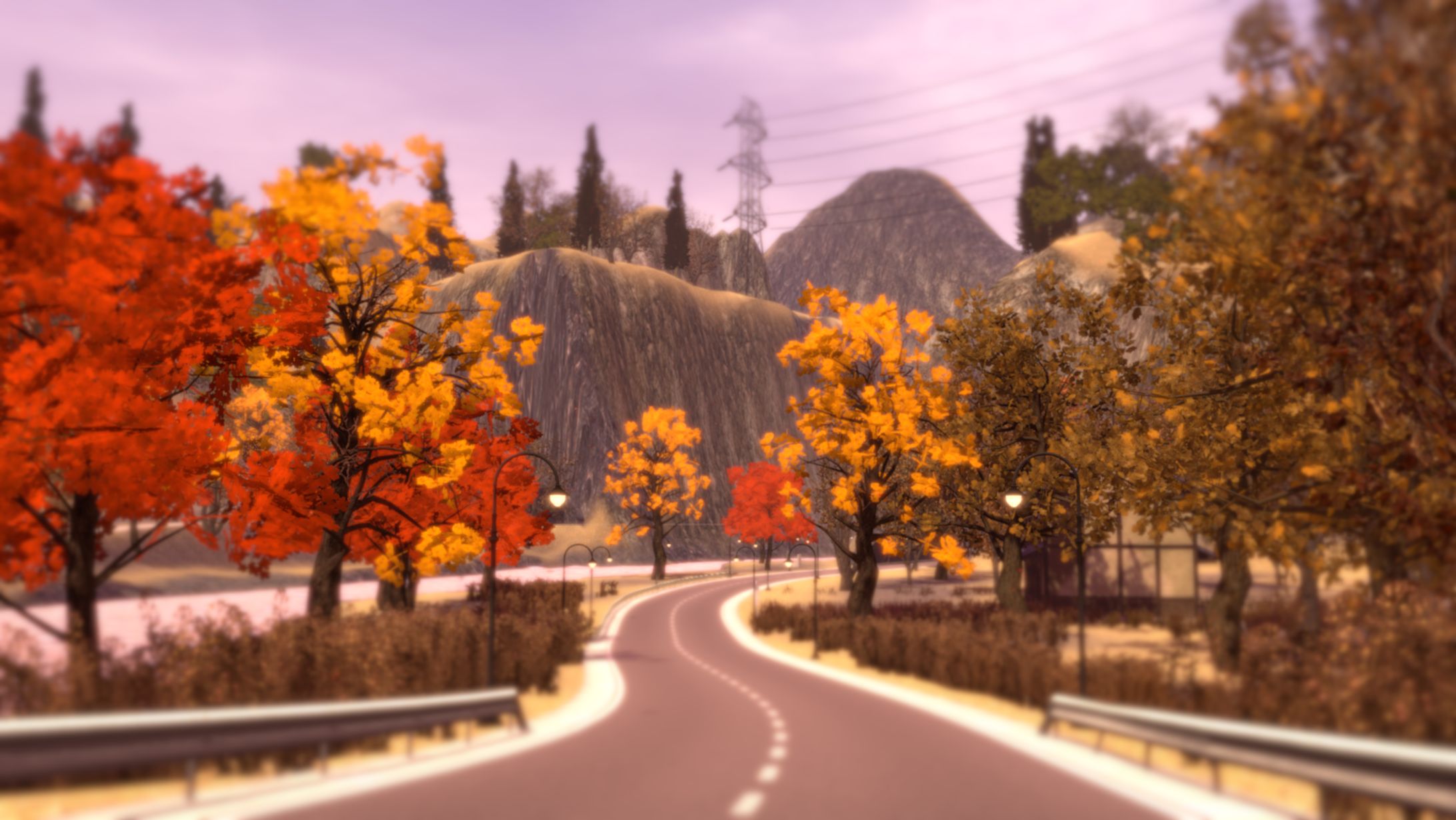 Autumn road - 彩森の川-1