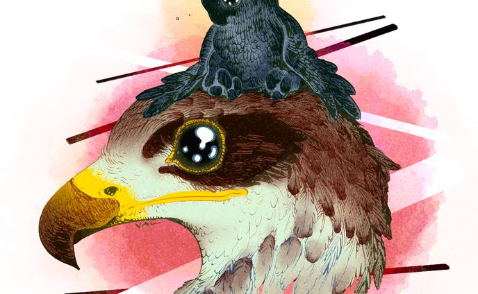 Big and Small Hawks / colored