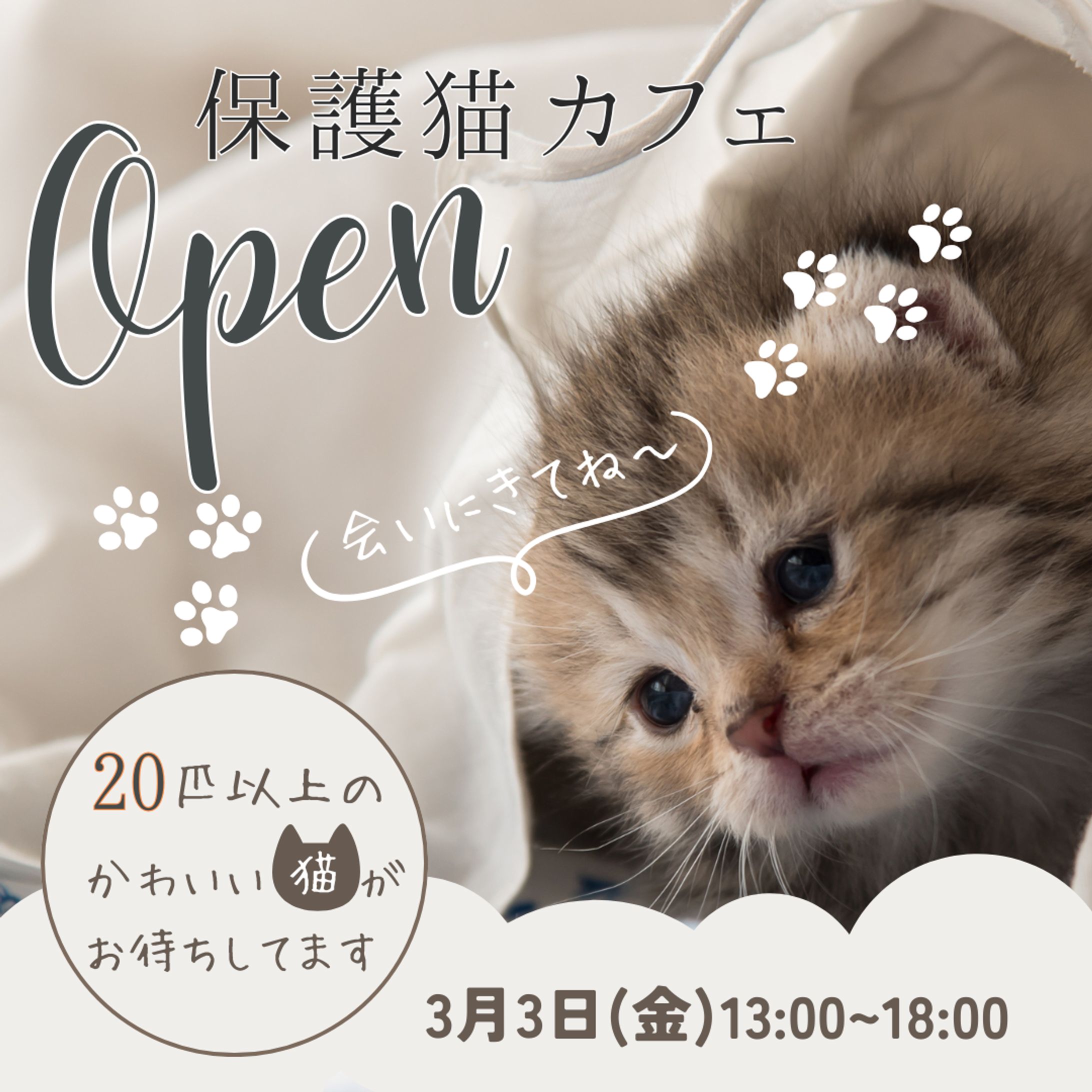 猫カフェバナー画像-1