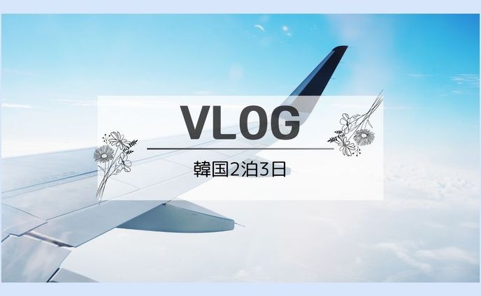 YouTube VLOG