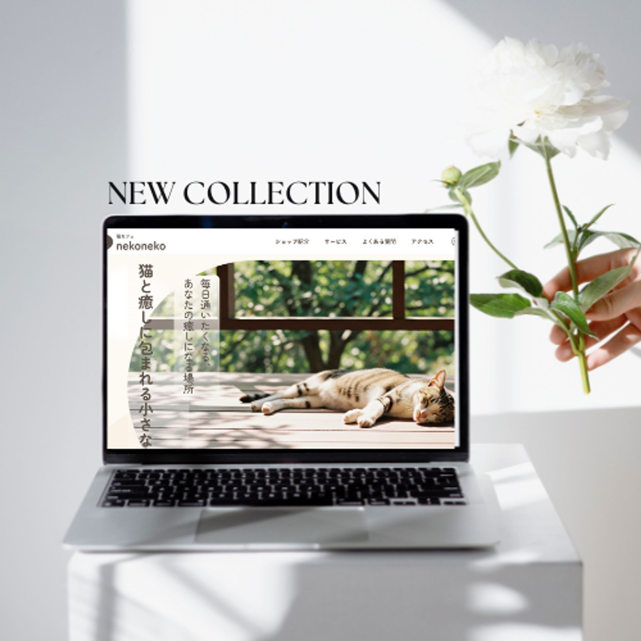 猫カフェ nekoneko-1