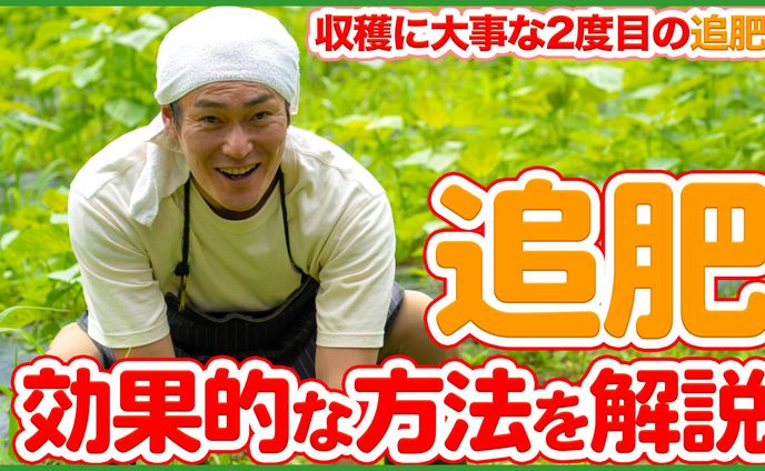 サムネイル【ビジネス系】