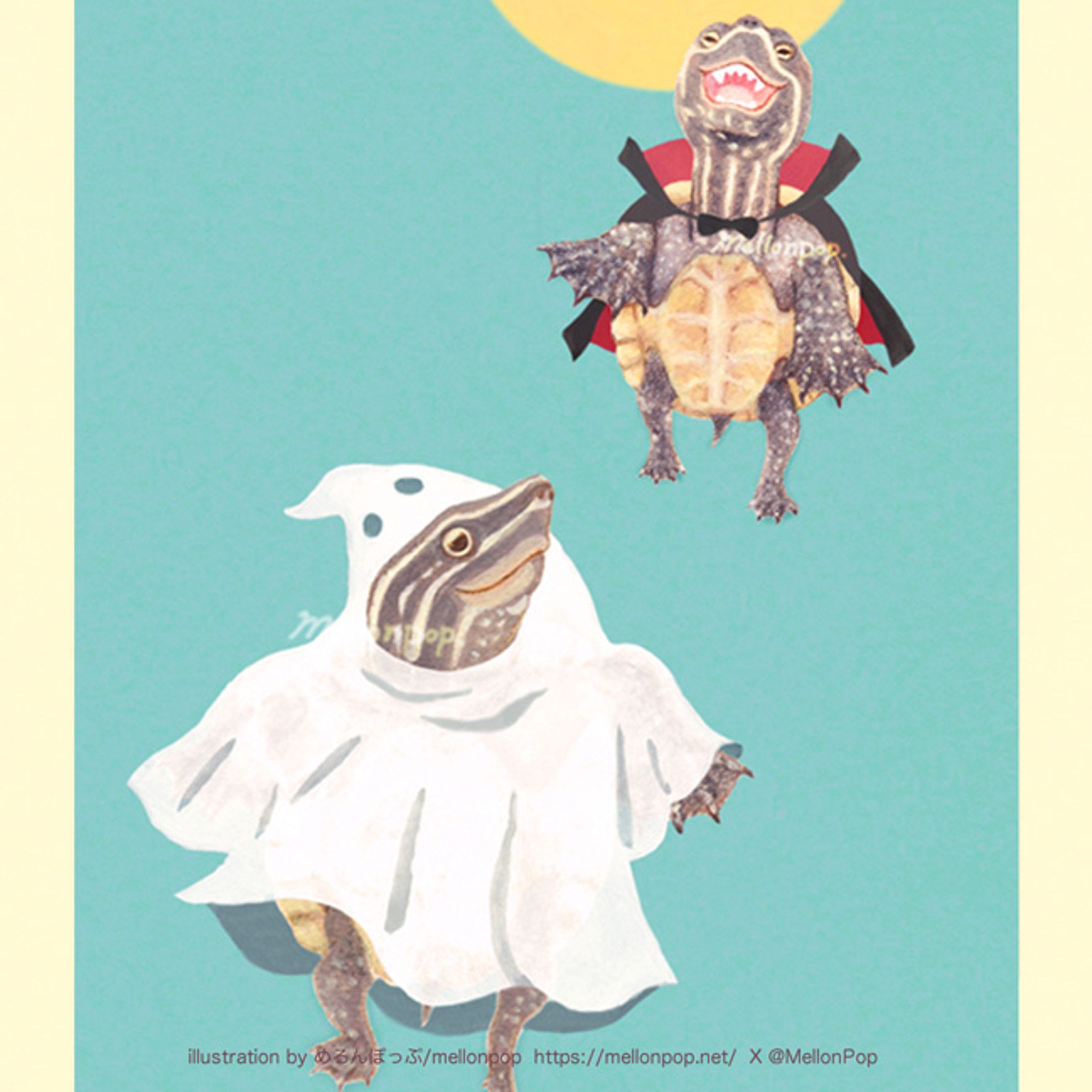 仮装した2匹のミシシッピニオイガメ -1