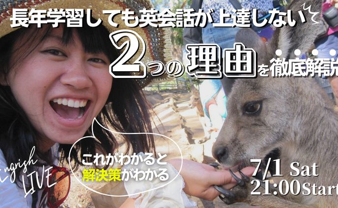 画像、サムネイルを担当