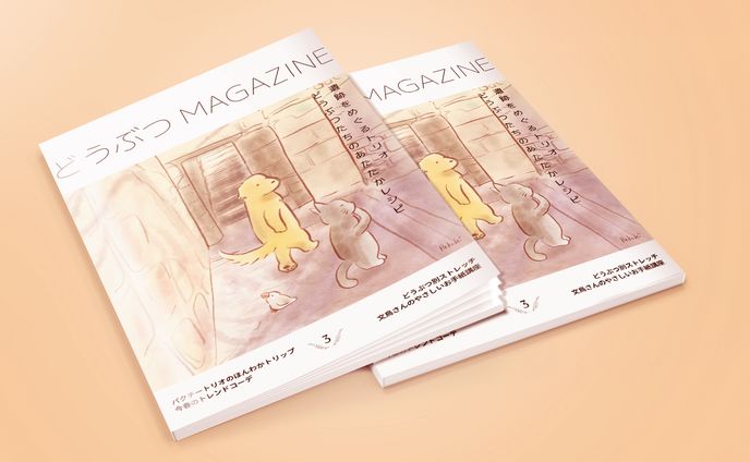 雑誌モックアップ