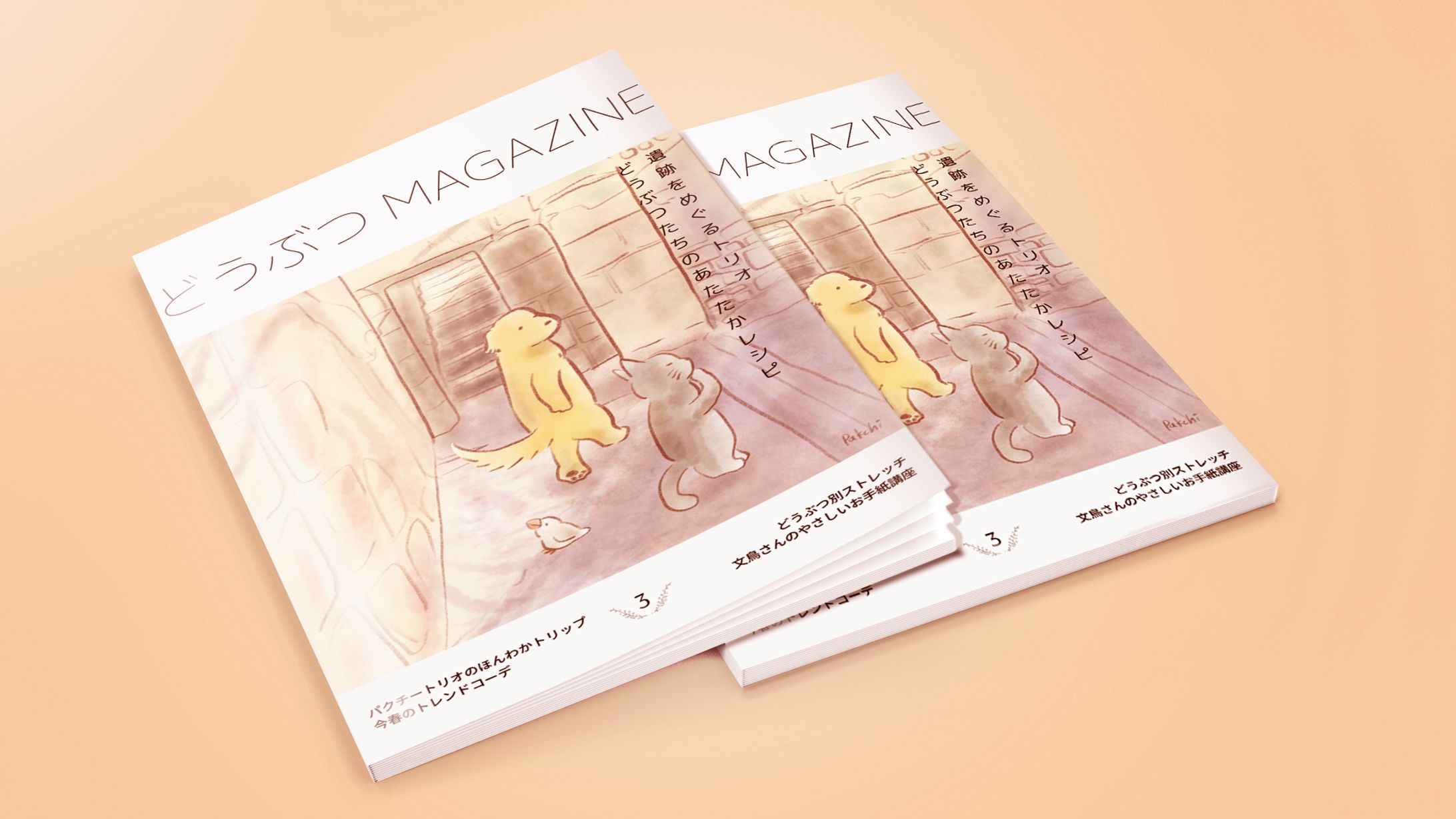 雑誌モックアップ-1