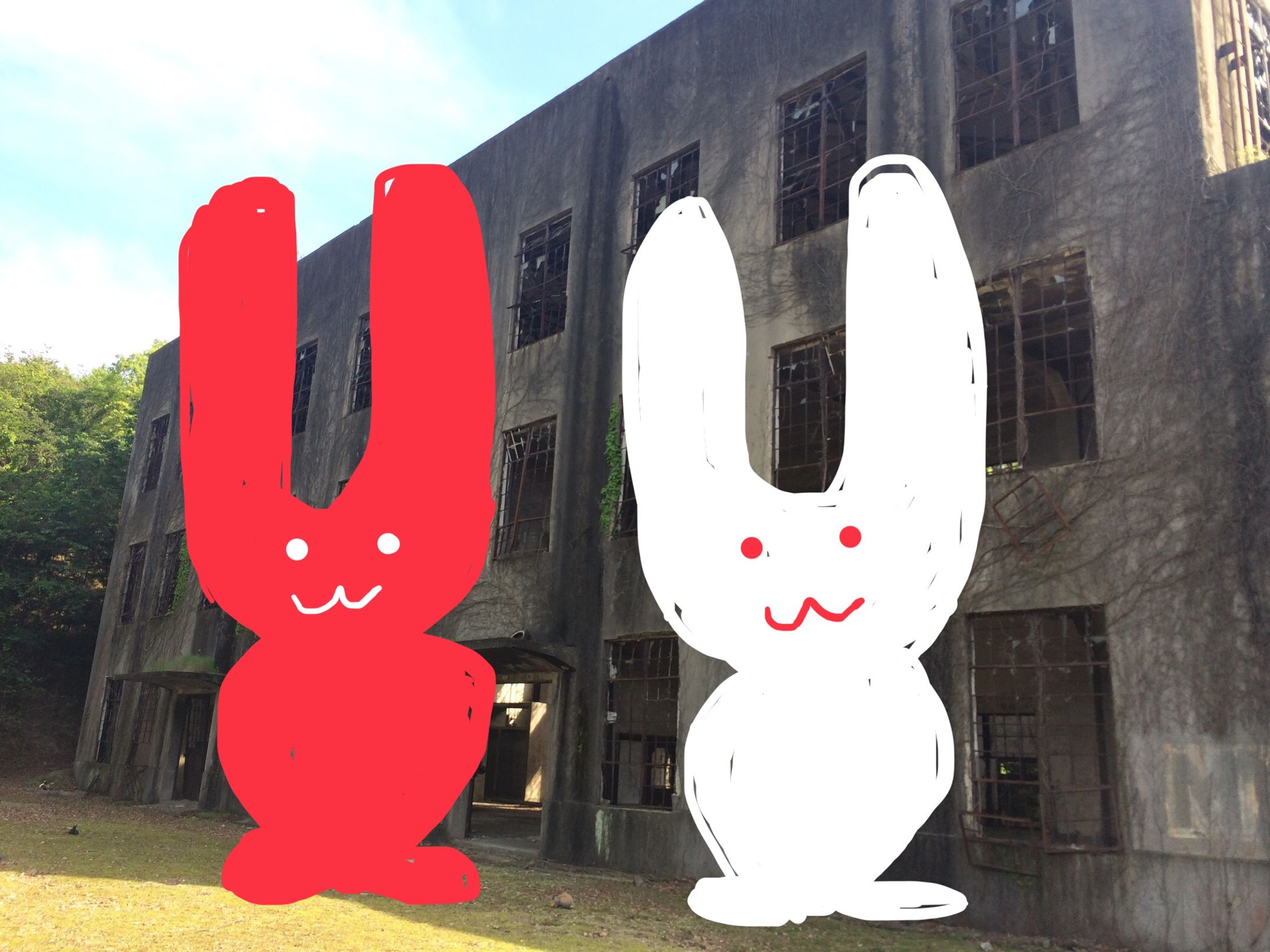 うさぎ-1