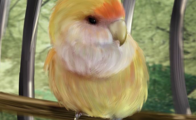 インコのトロちゃん