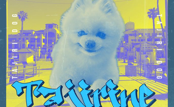 タジリーヌHIPHOPスタイル