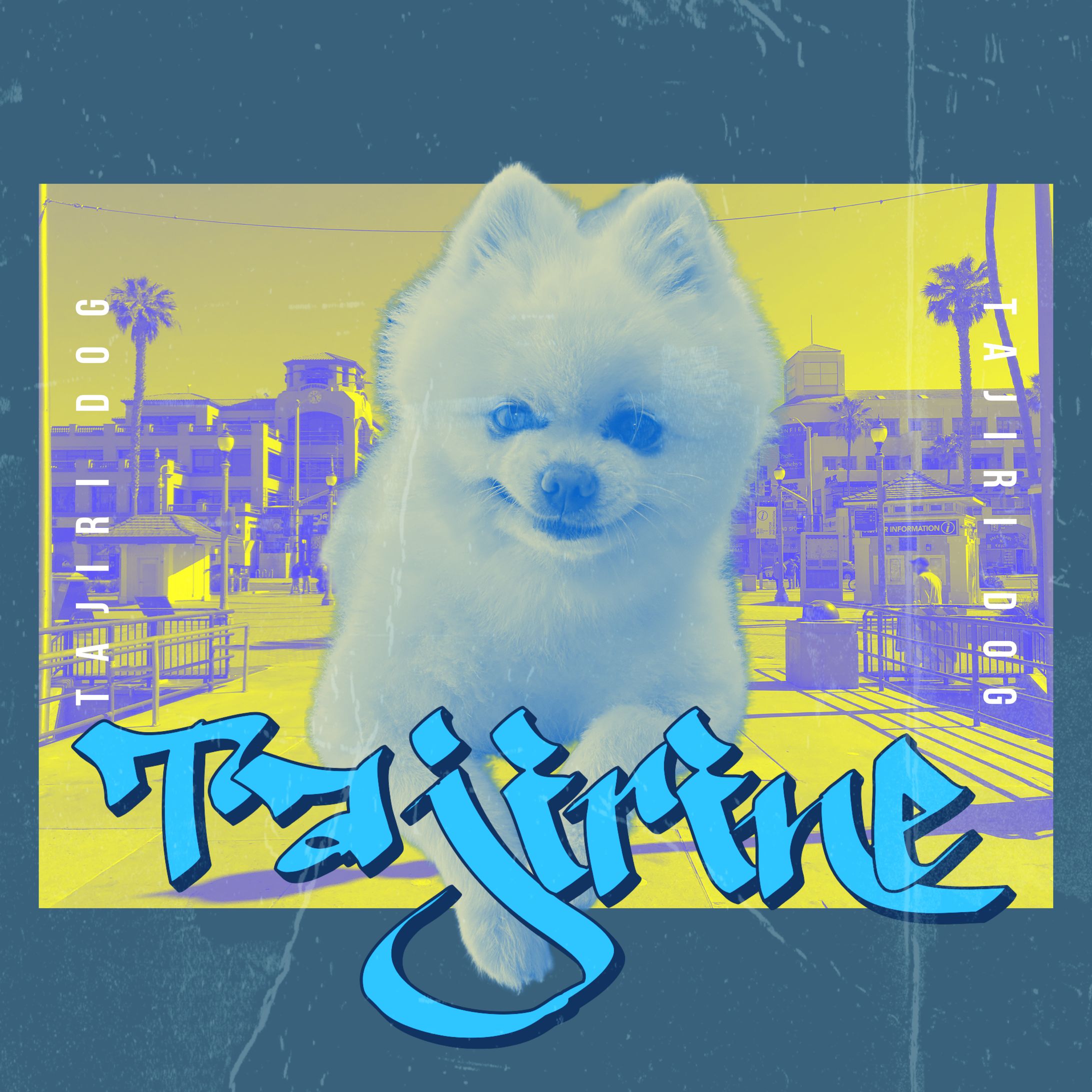 タジリーヌHIPHOPスタイル-1