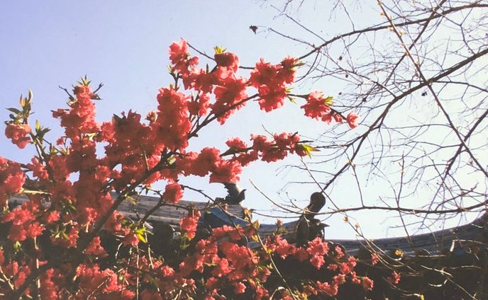 空へと