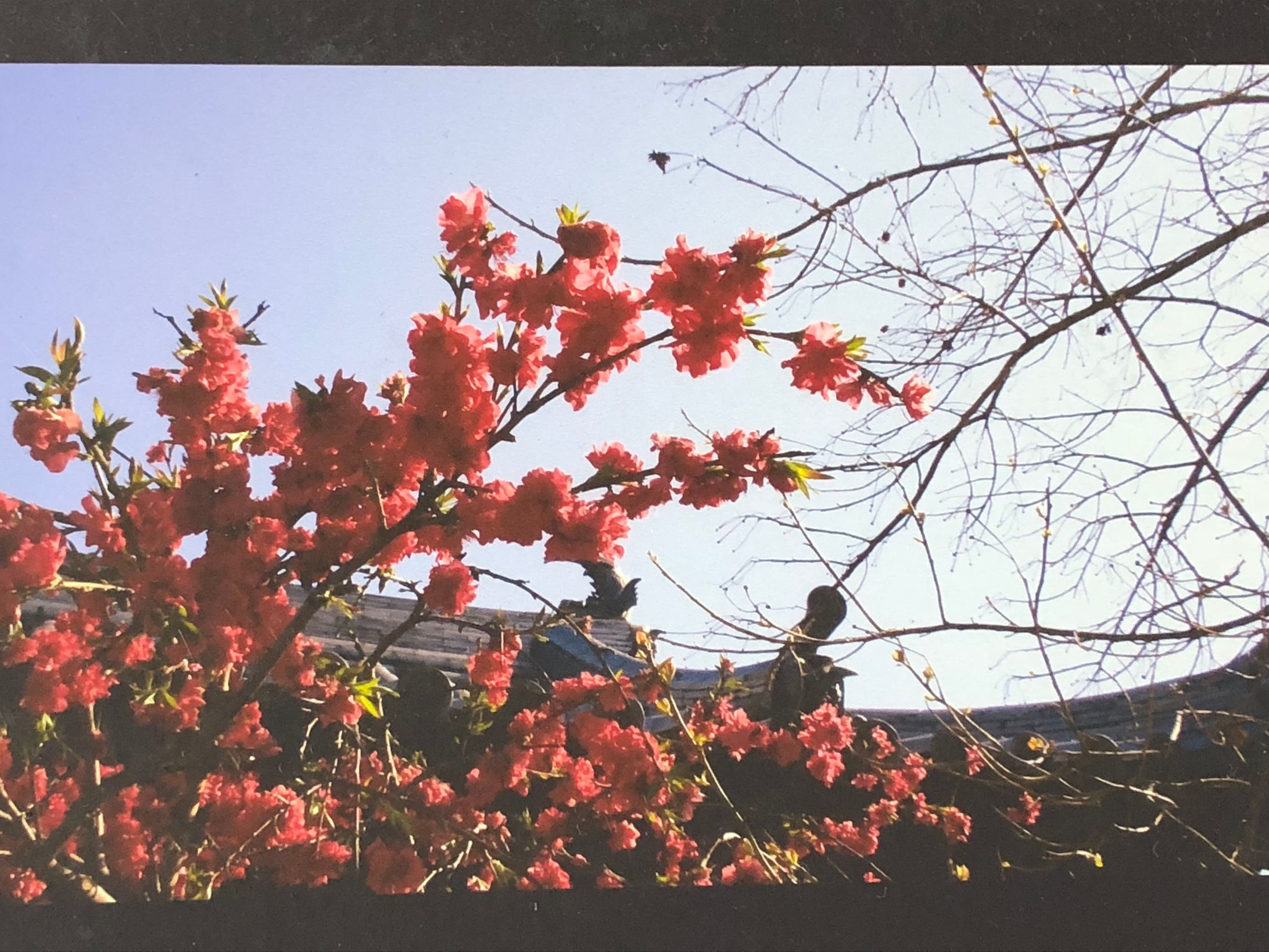 空へと-1