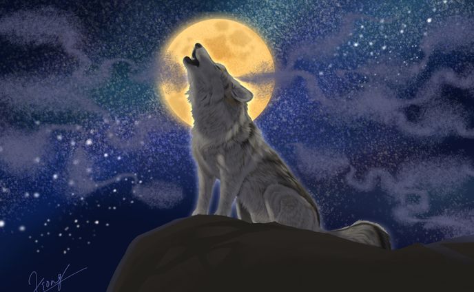 japanese wolf