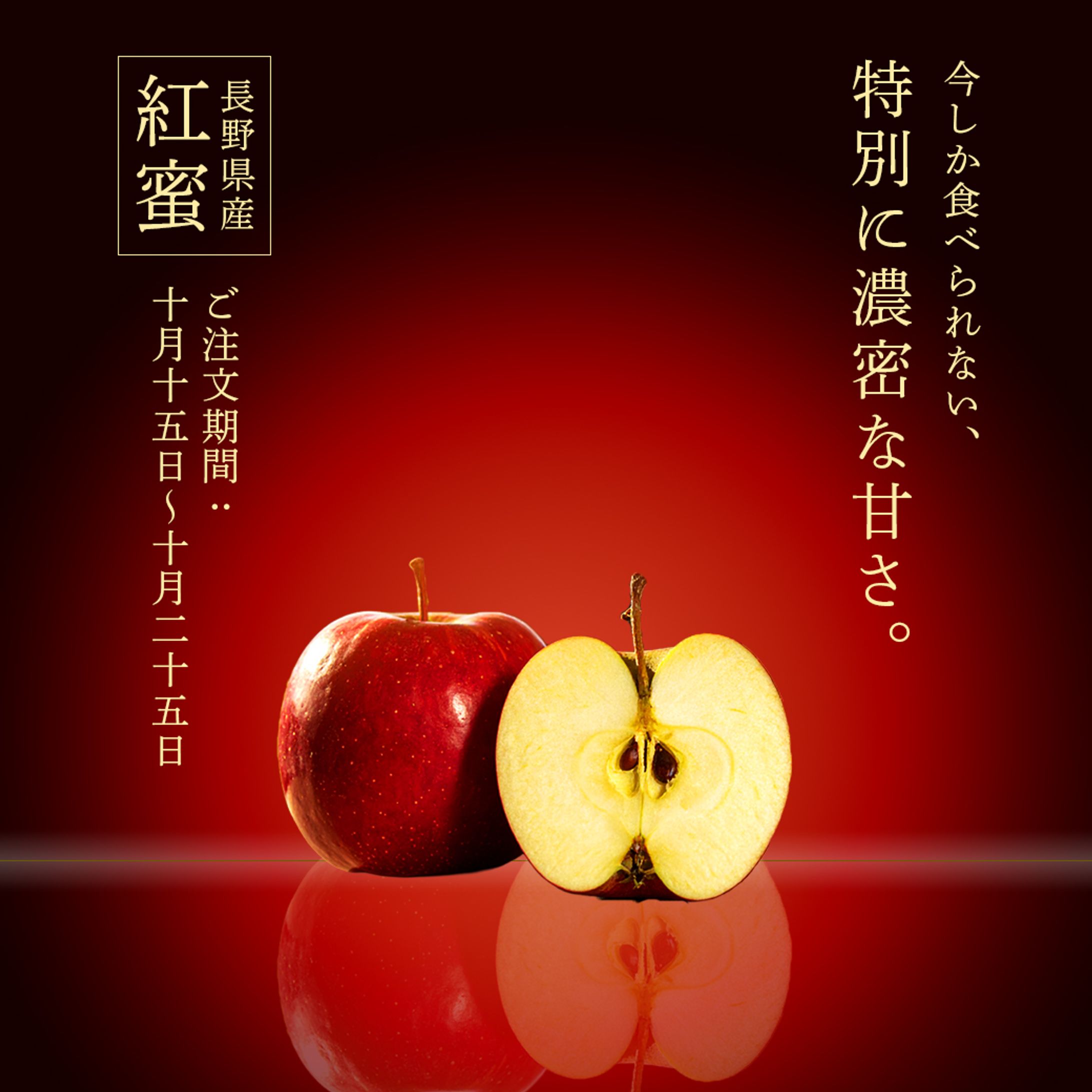 長野リンゴ(仮想商品画像)-1