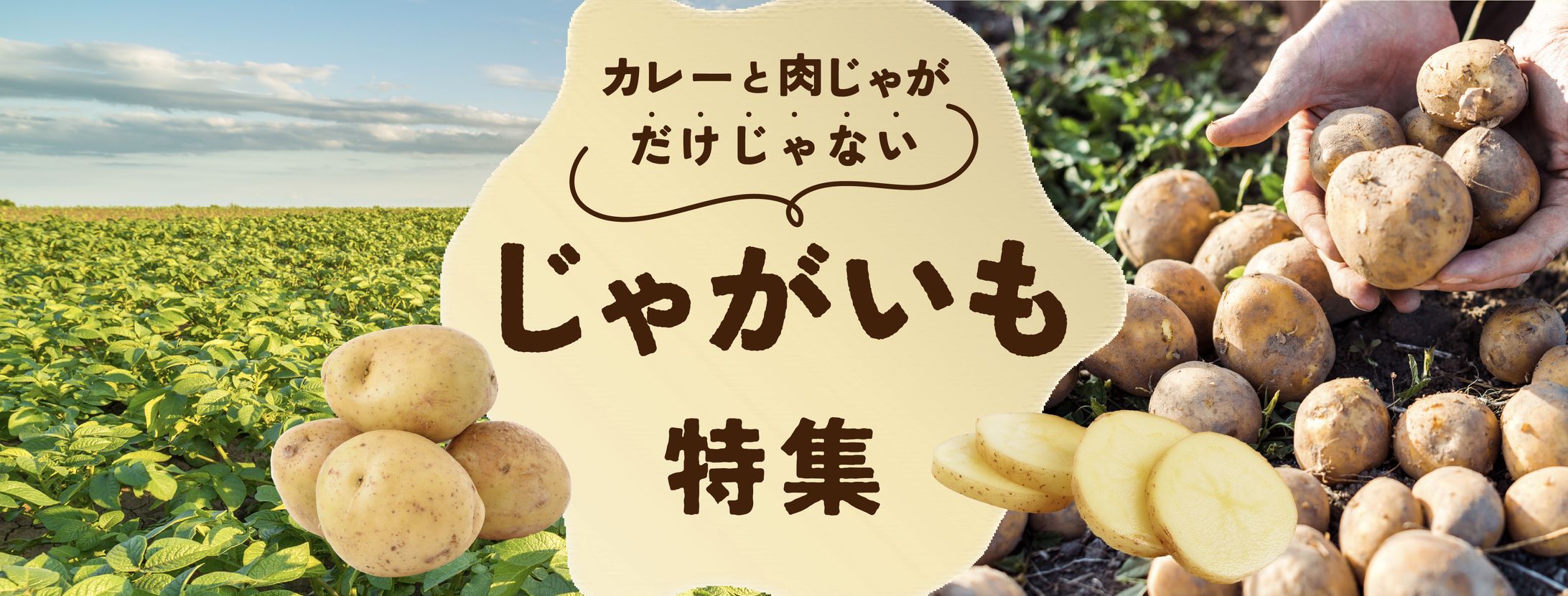 食品バナー６種-1