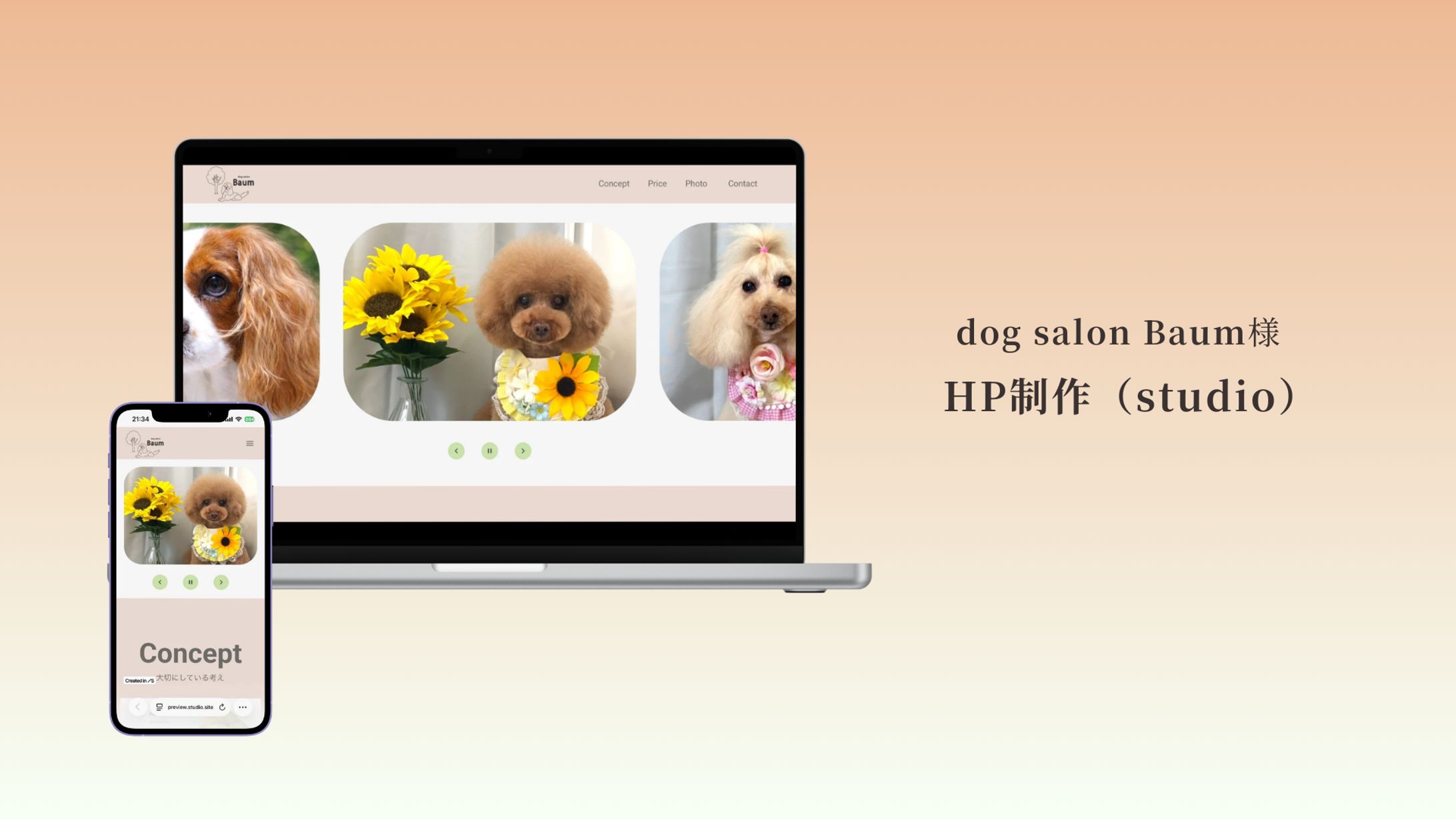 HP制作　（dog salon Baum様）-1