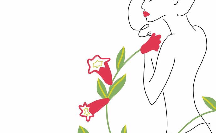 illustration、vogue japan