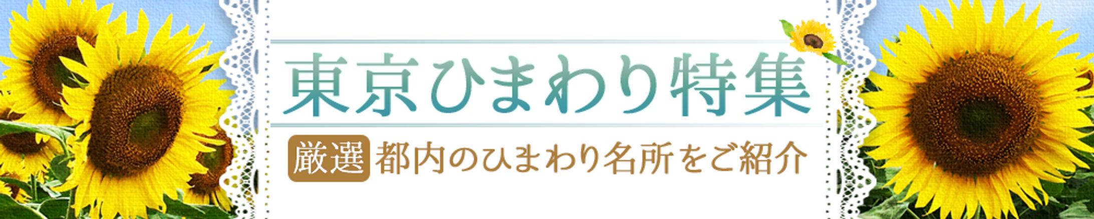 【バナー】東京ひまわり特集-1