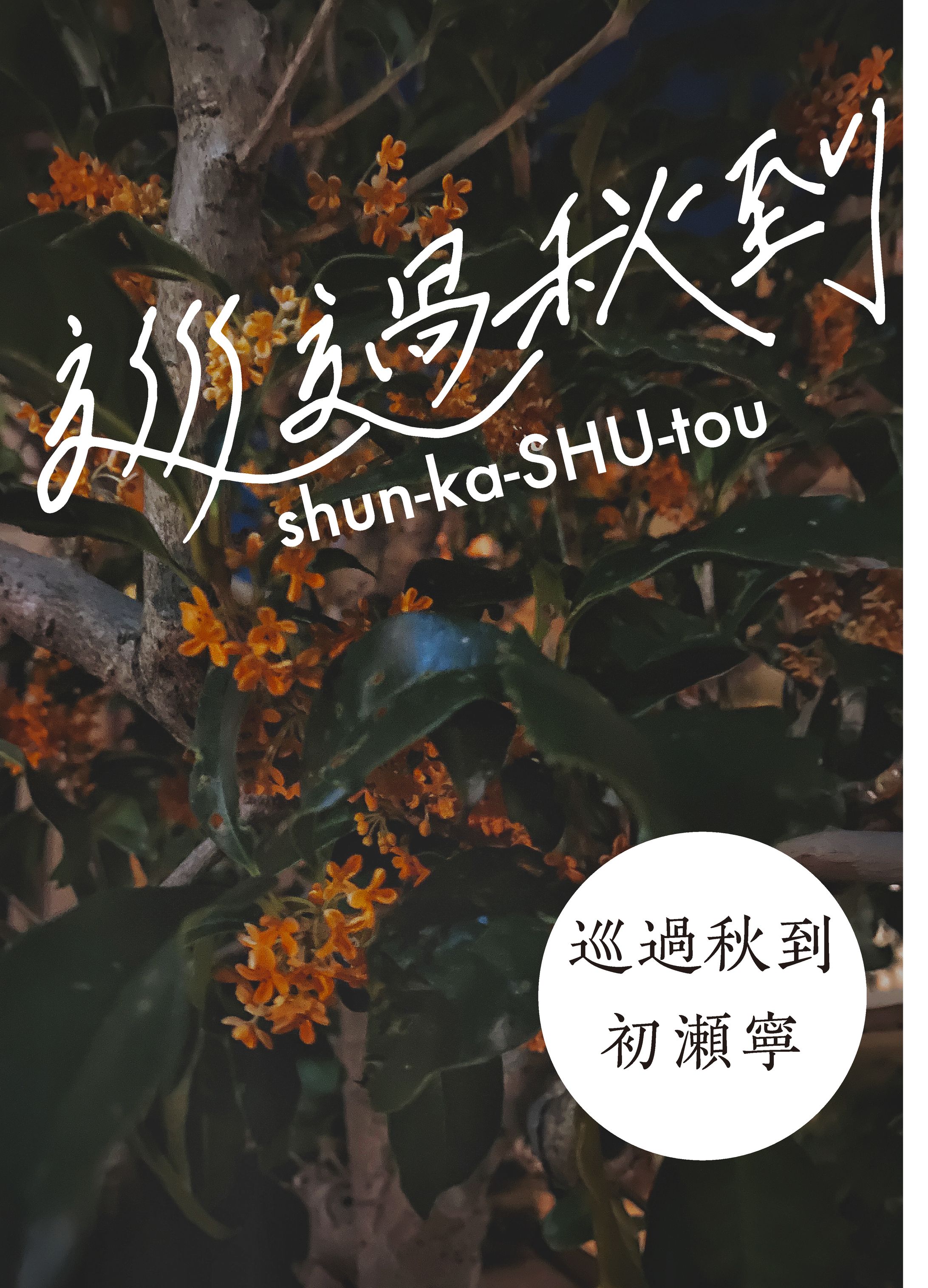 初瀬寧 ZINE表紙デザイン-1