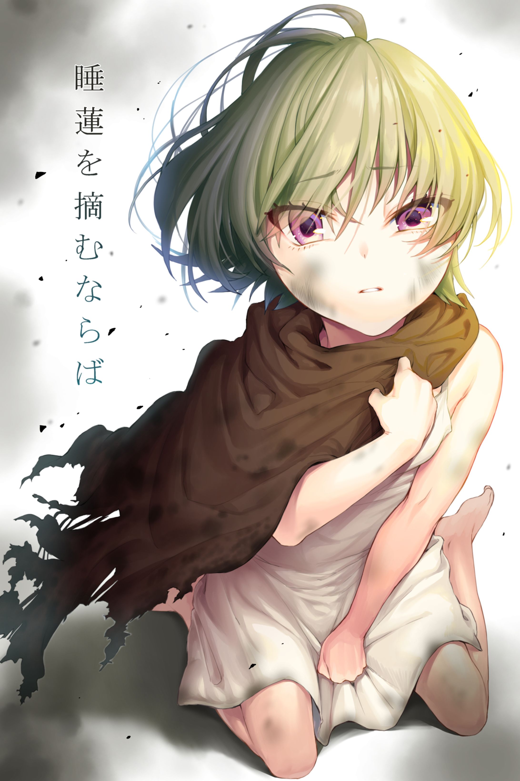 web小説「睡蓮を摘むならば」表紙イラスト　2019年2月-1